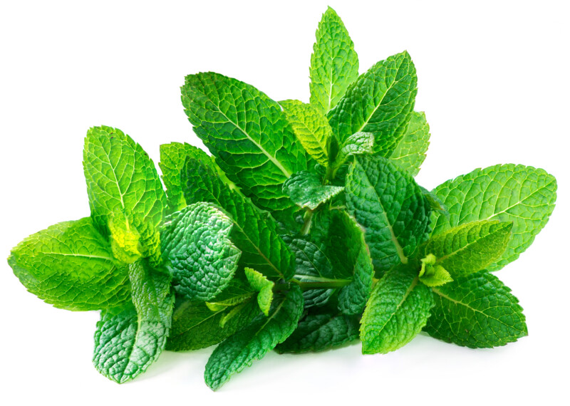 Reberry tea Cleansy Berry borsmenta