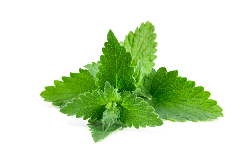 Reberry Tea Cleansy Berry citromfű