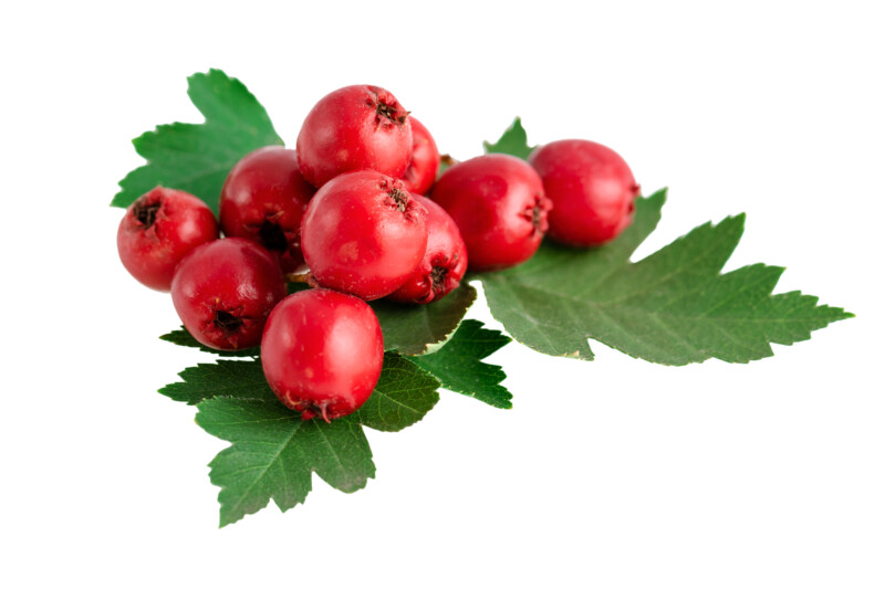 Reberry Tea Skinny Berry galagonya