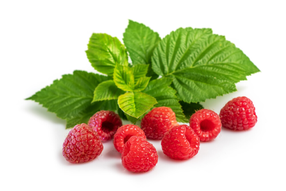 Reberry Tea Happy Berry erdei málnalevél